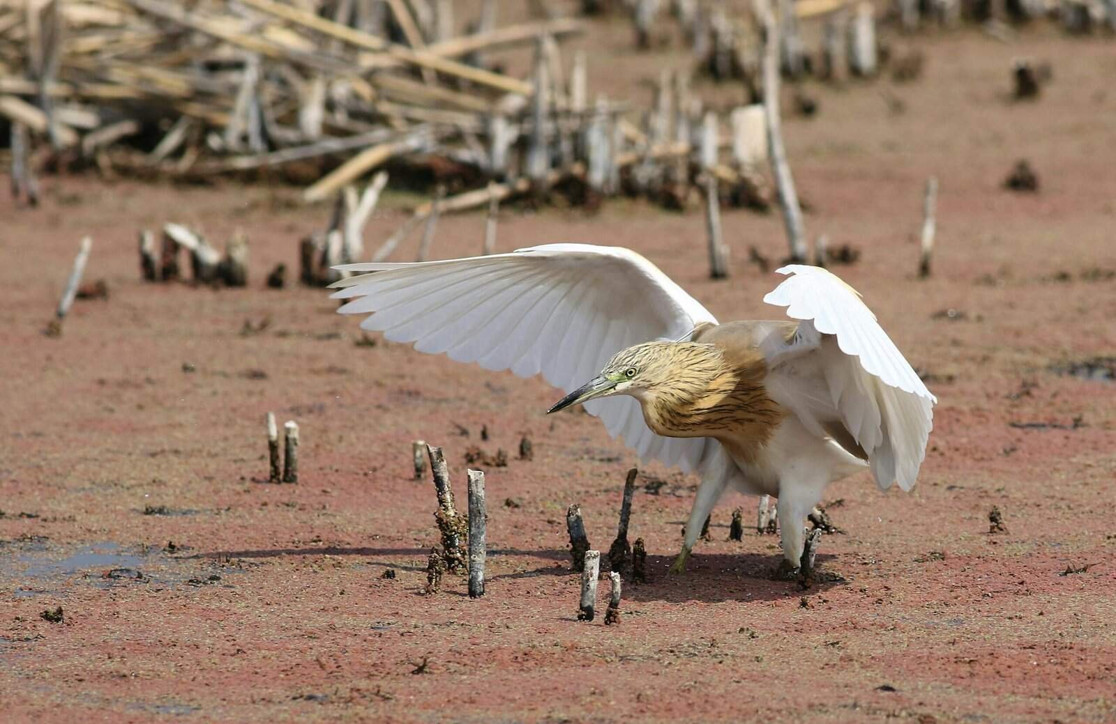 How Do I Deal With Hard Water From My Well? How Do I Deal With Hard Water From My Well?