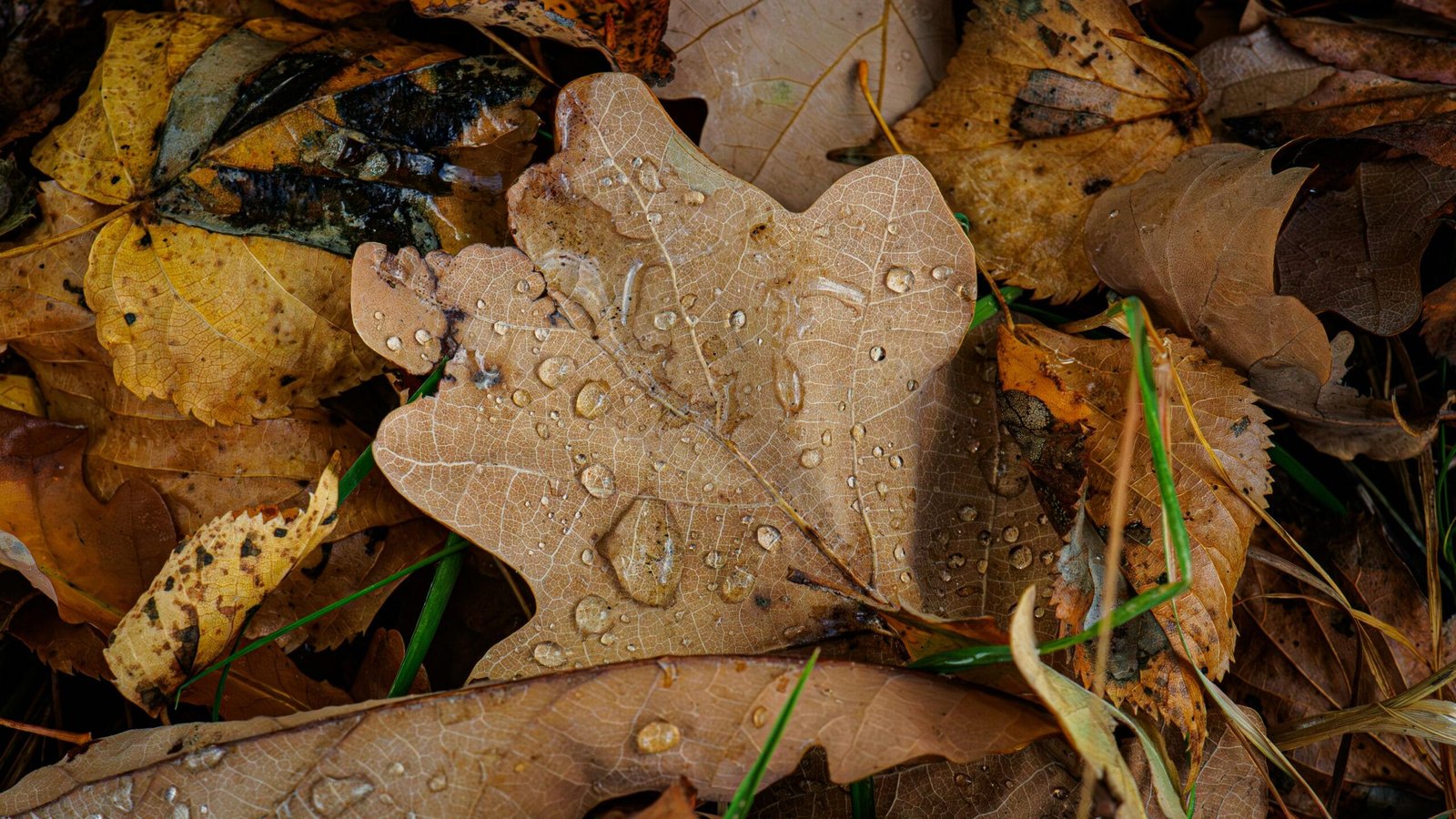 How Do I Fix Cloudy Well Water?