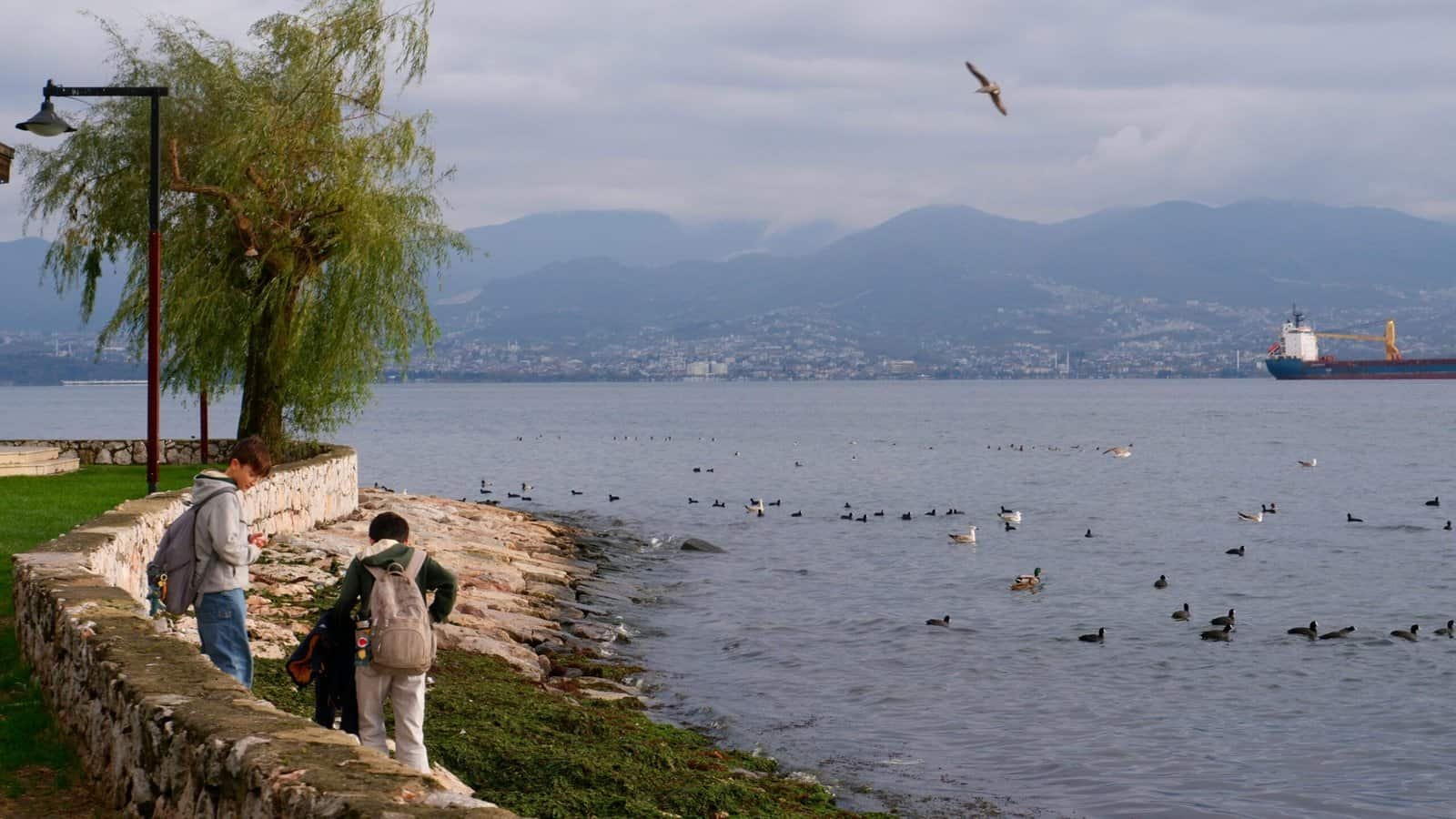 How Do I Know If My Water Softener Is Safe For My Well?