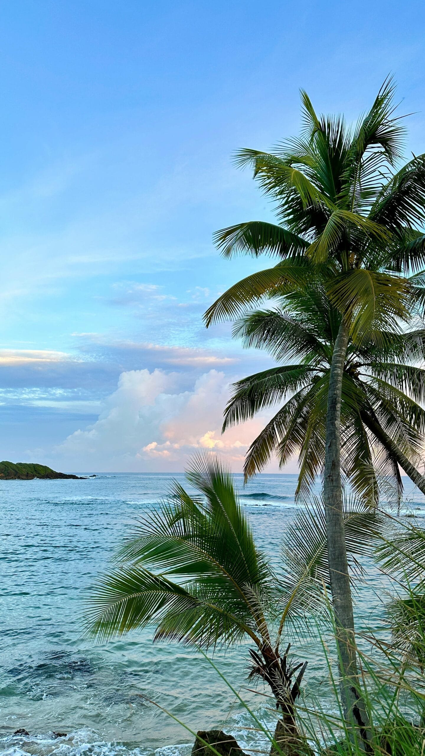 How Do I Measure Water Quality In My Well?