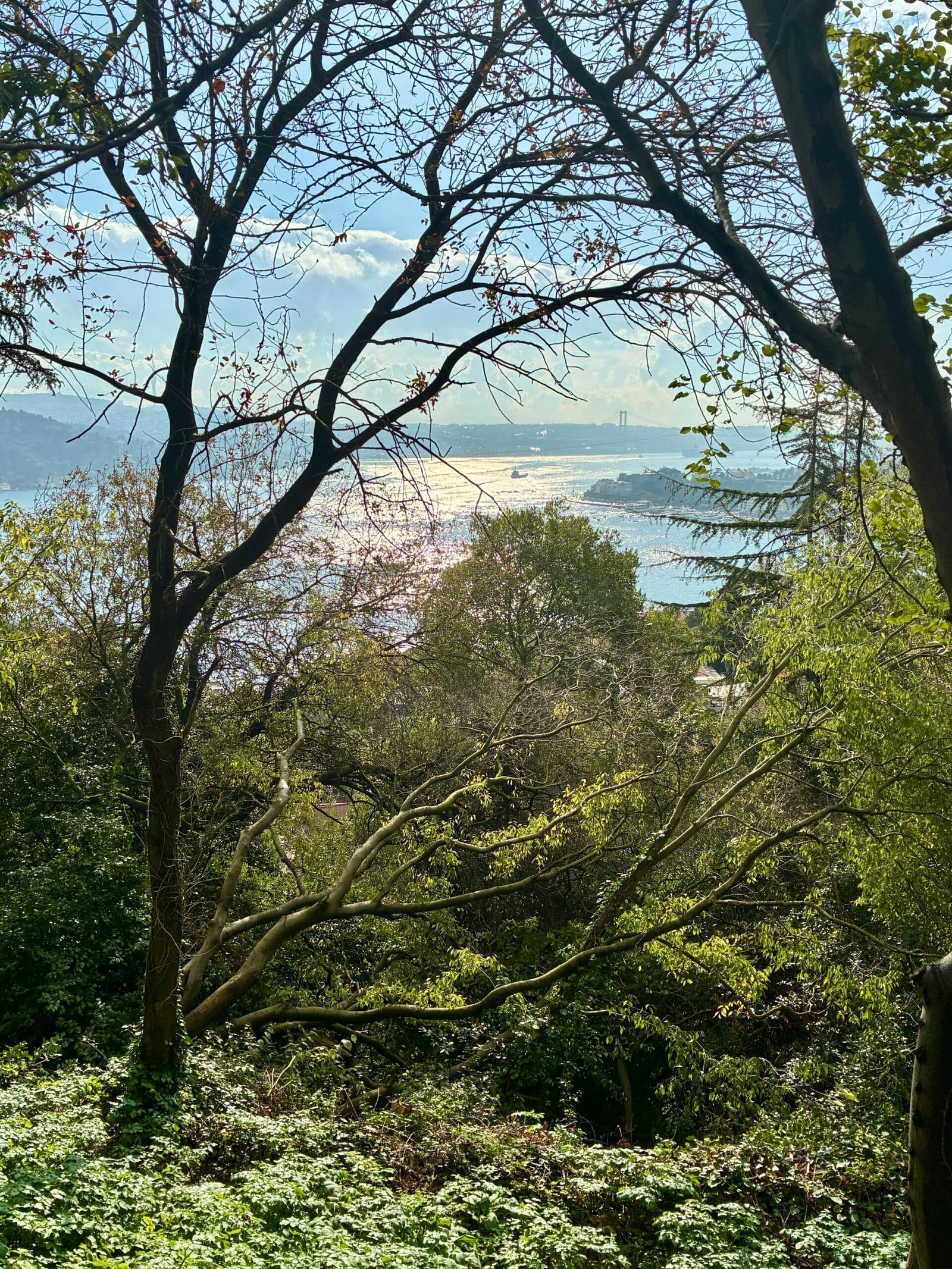 How Do I Measure Water Quality In My Well?