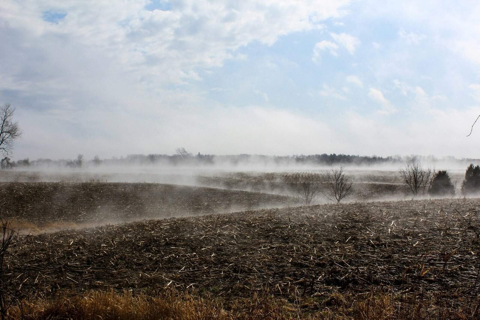 How Do I Prevent Fertilizer Runoff From Reaching My Well?