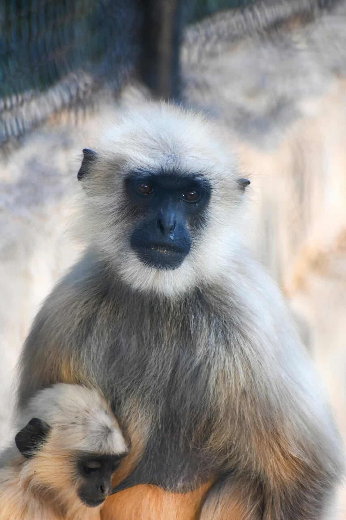 How Do I Prevent Fuel Spills From Entering My Well?