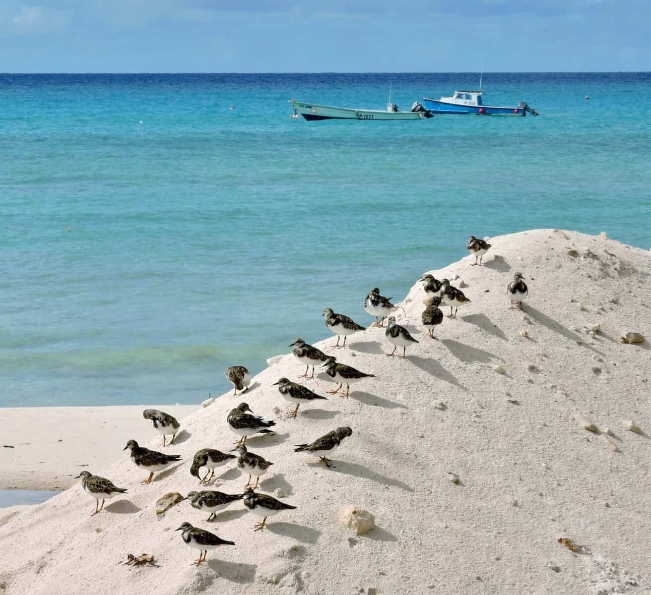 What Are The Most Common Well Water Problems?