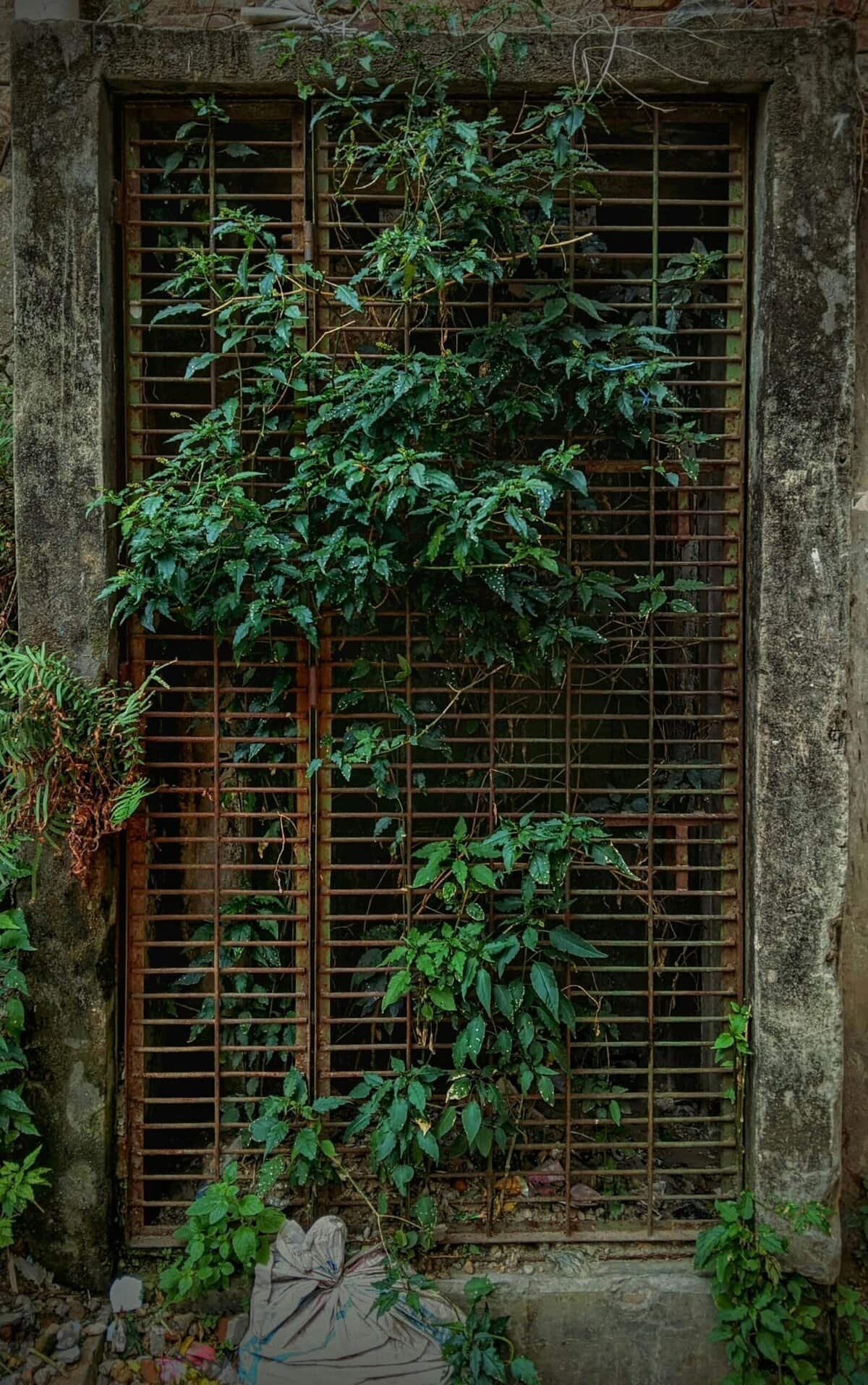 What Kind Of Filter Removes Iron From Well Water?